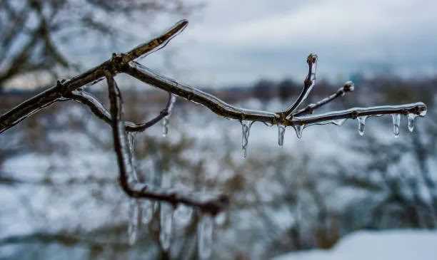 Дорога от перрона до порога с чемоданами